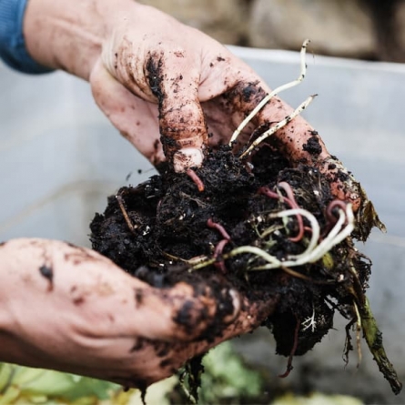 Compost Awareness Week